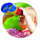 Оптичний прилад Edu-Toys Мій перший бінокль 3x (JS006)