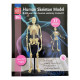 Модель скелета человека Edu-Toys сборная, 24 см (SK057)