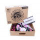 Роликовые коньки Tempish DASTY Girl/41-43 (1000050/41-43)