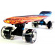 Penny Board "Fish" Fire and Ice (833333694)