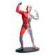 Модель мышц и скелета человека Edu-Toys сборная, 19 см (SK056)