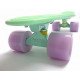Penny Board Мятный цвет Светящиеся колеса (1497515666)