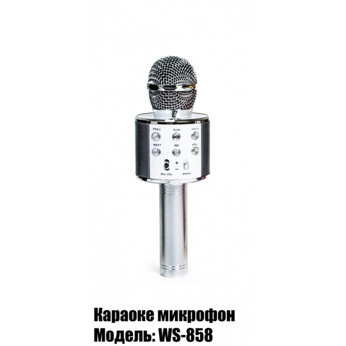 Беспроводной микрофон-караоке WSTER WS-858 Стальной (983049798)